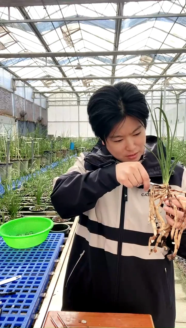 【闪购商品】章熙义仙同**在同爱同在