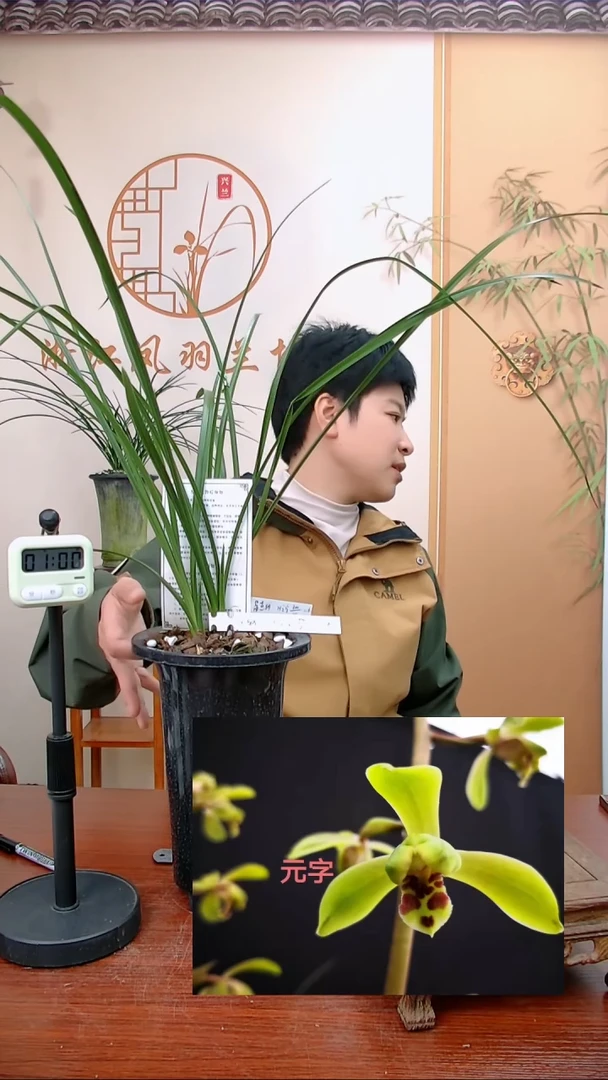 【闪购商品】元字，大钱