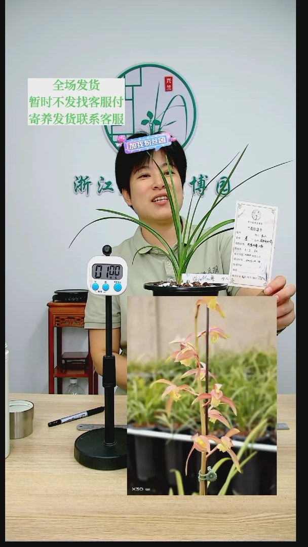 【闪购商品】谈氏彩虹素，水*，水人