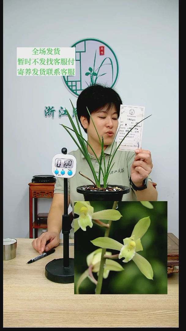 【闪购商品】琥珀冰心，如*，如是