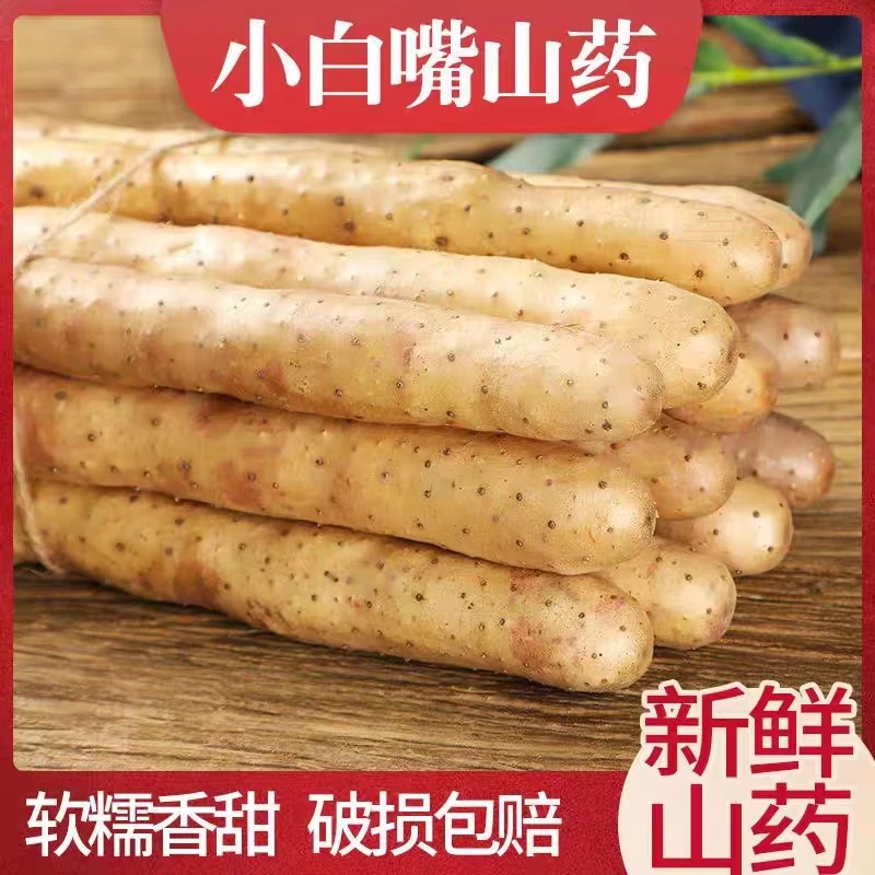 河北小白嘴铁棍山药垆土种植粉糯香甜麻山药产地直发五斤带土发货