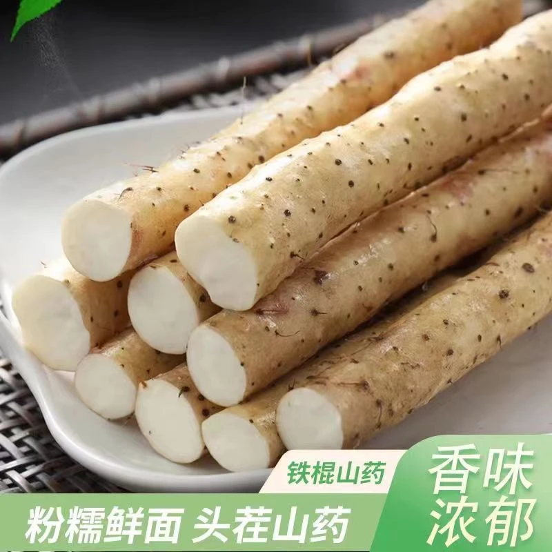 产地直发河北小白嘴铁棍山药垆土种植粉糯香甜麻山药五斤带土发货