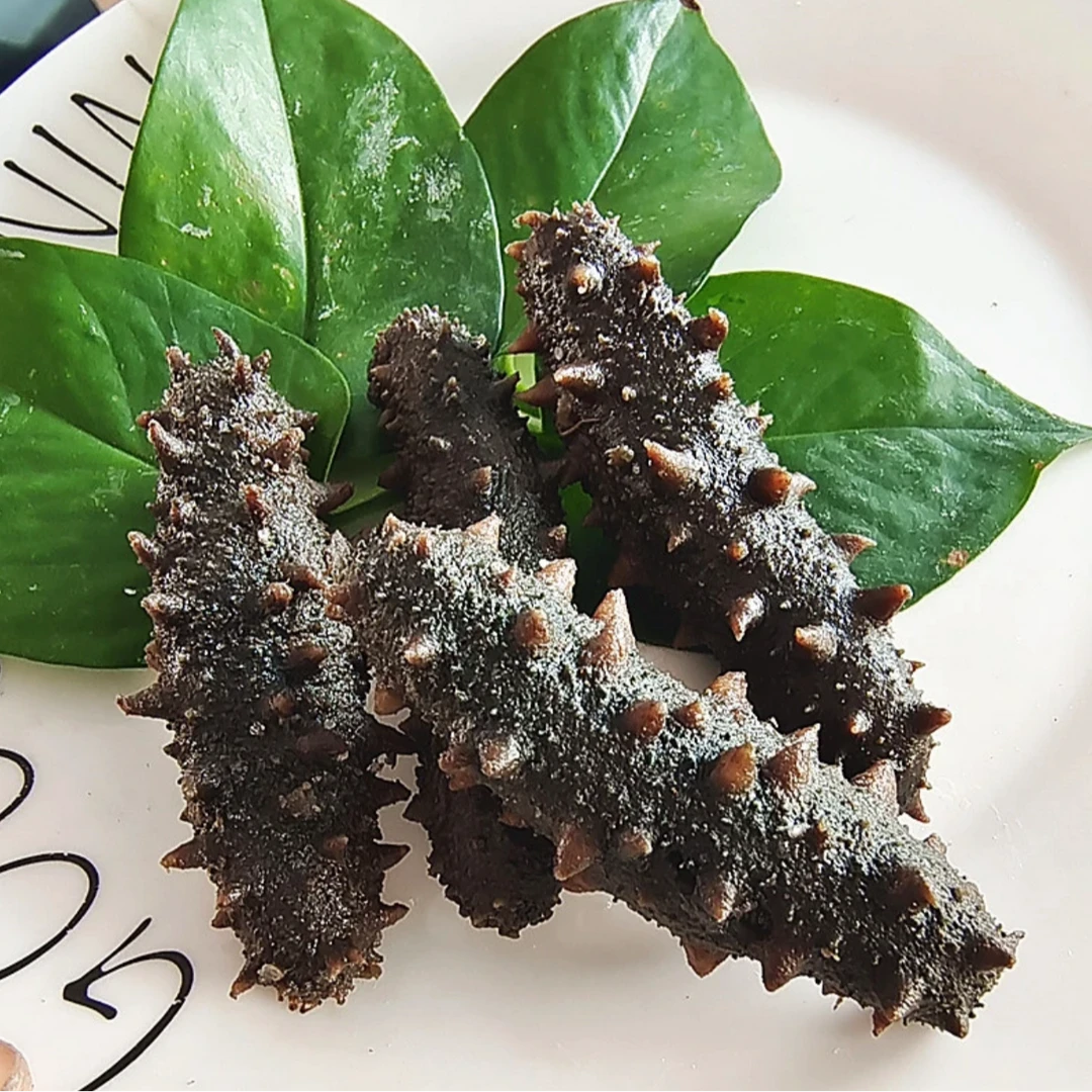 (深海拉缸盐） 大连发货（鲜海参60-65头左右/500g】