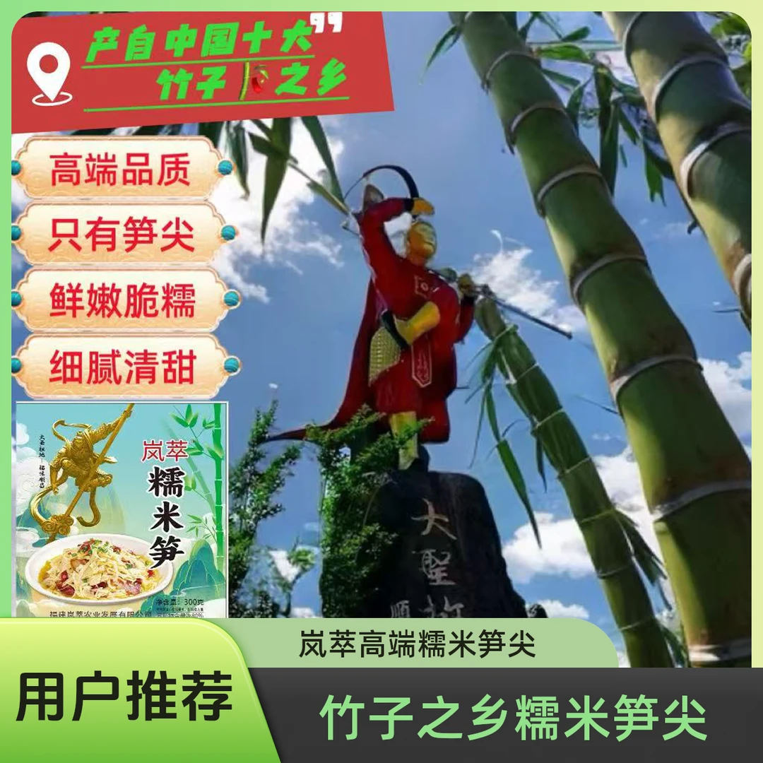岚萃高端竹笋糯米笋尖笋子高端笋尖福建特产原味鲜嫩笋尖