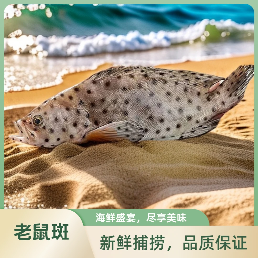冷冻老鼠斑海鲜水产鲜活高端食材深海大鱼石斑鱼东星斑海鱼大鱼