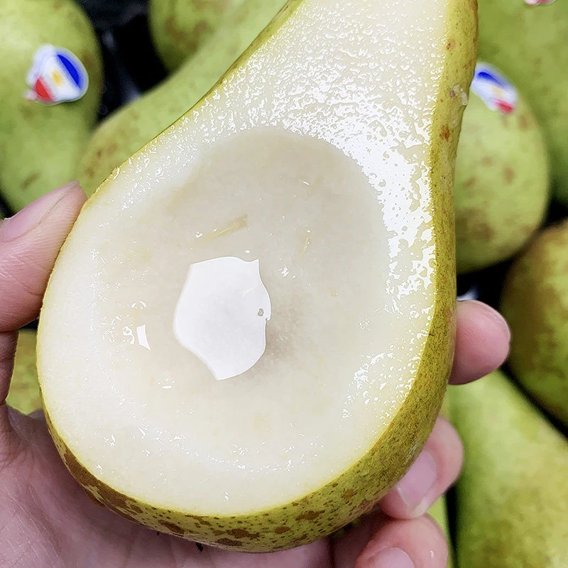 森叔源选 当季限定荷兰青啤梨3/5斤放软吃软糯香甜【顺丰包邮】