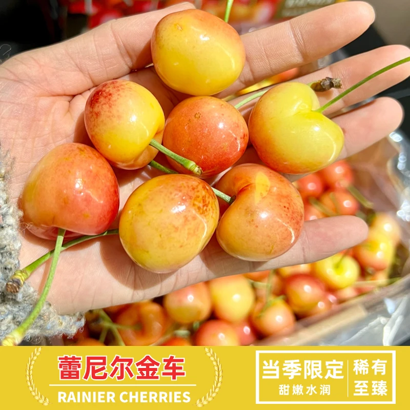 当季限定智利蕾尼尔金车厘子1~4.4斤装26-34mm'【顺丰空运】