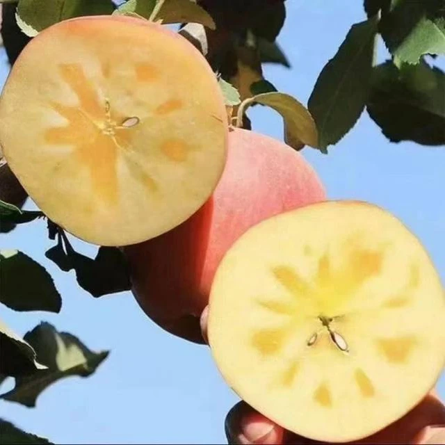 新疆阿克苏直发正宗冰糖心苹果