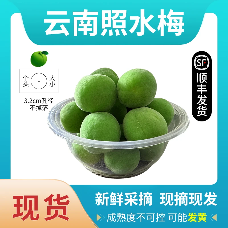 云南照水梅  梅小涯甄选泡酒做酵素现摘新鲜青梅五斤顺丰包邮
