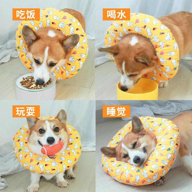 宠物狗狗伊丽莎白圈头套软耻辱脖圈防咬绝育用品猫咪项圈围脖防舔