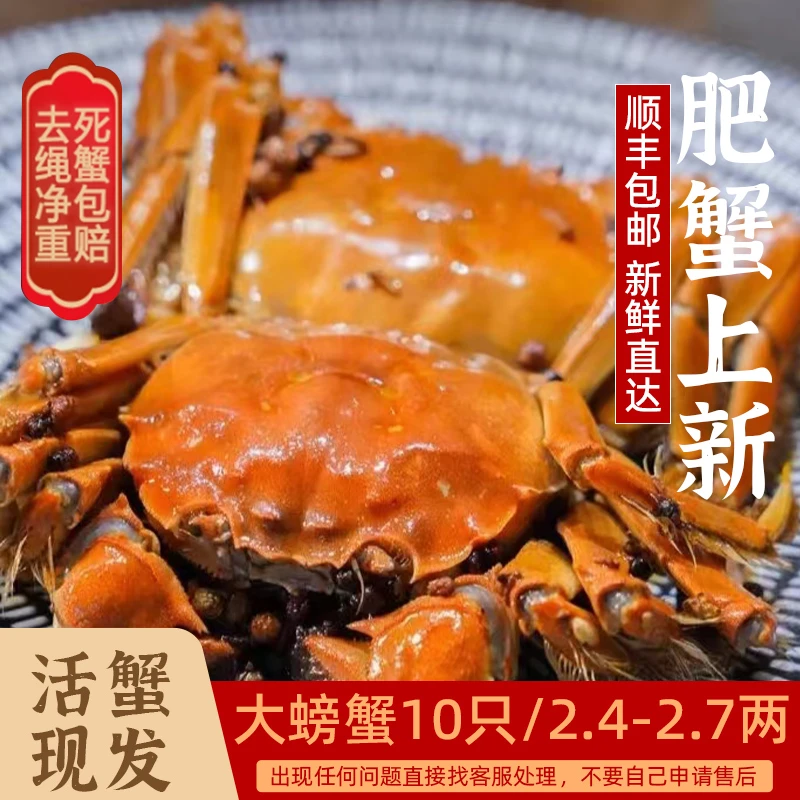 大闸蟹全母【2.4-2.7两母蟹十只装】高品质螃蟹活蟹现货冷链现发