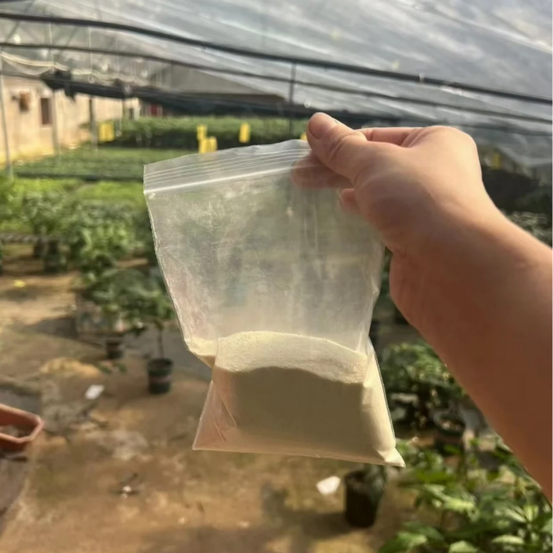 垂丝茉莉专用进口肥氮磷钾均衡缓释肥促生长花颗粒
