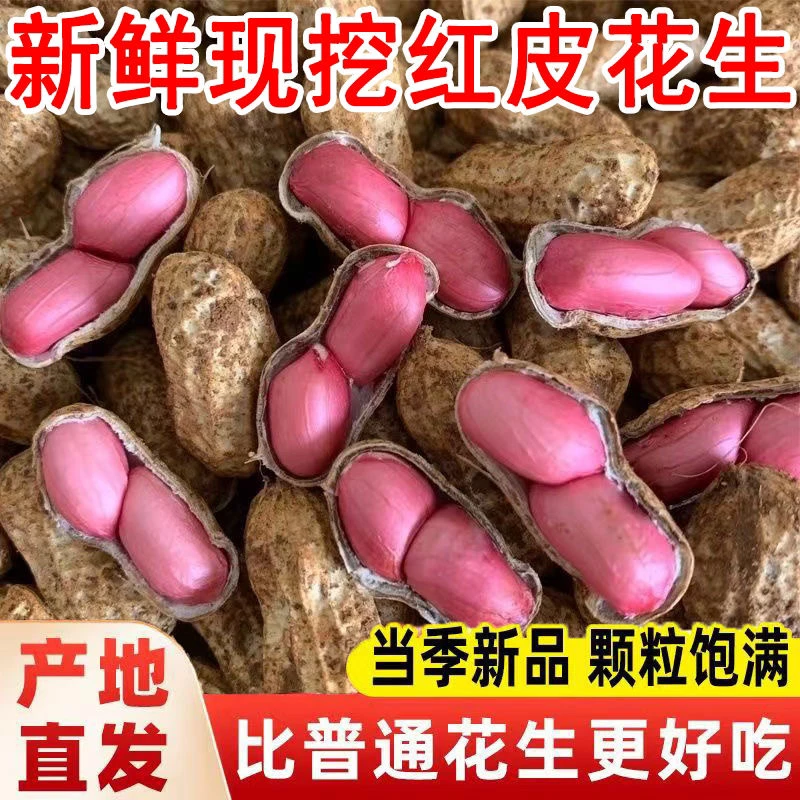 【湖南红皮小花生】新鲜花生带泥红皮花生农家自种带壳红衣新鲜花生