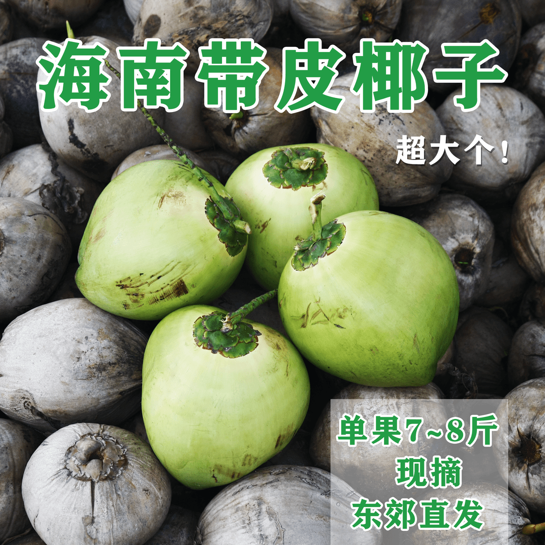 当天新鲜采摘文昌椰子超大果4个装天然健康孕期水果袋装带皮发货