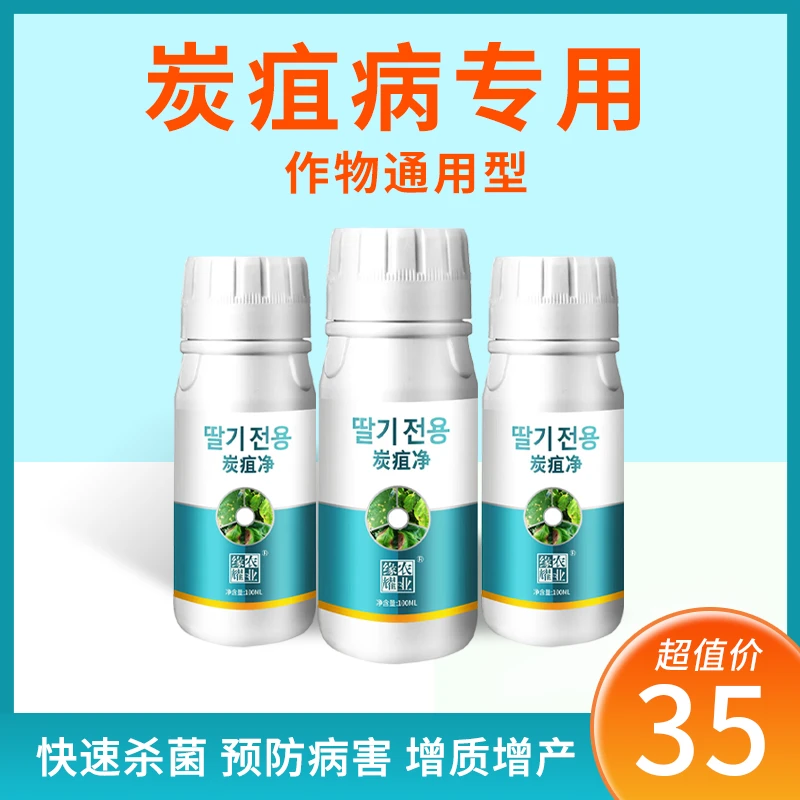炭疽净快速杀菌预防病害辣椒番茄黄瓜草莓西瓜专用菌剂微生物肥料