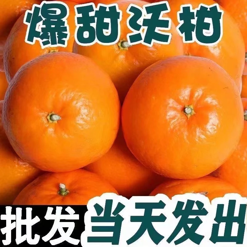 正宗新鲜沃柑1-10斤现摘砂糖橘桔耙皇帝橘柑桔孕妇水果纯甜整箱