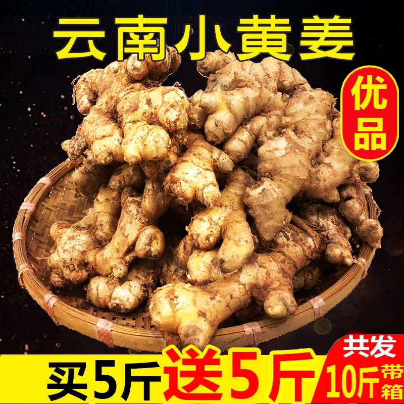 云南小黄姜10/5/3/2/1斤生姜老嫩姜新鲜老母姜月子姜特价包邮批发