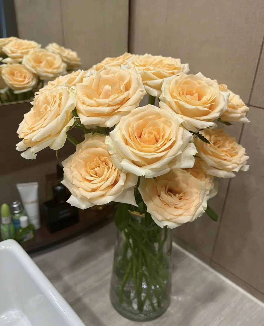香槟玫瑰10枝（花店送花上门）