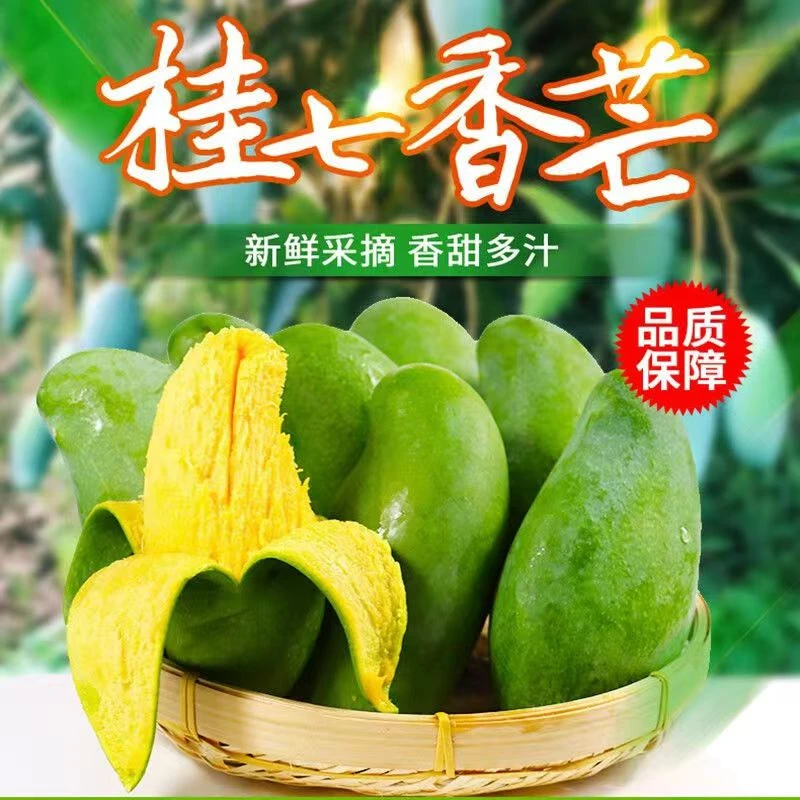 【花皮果】广西百色田东桂七香芒5/9斤新鲜水果现摘现发坏果包赔