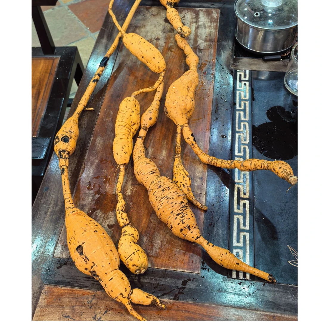 大富婆  精选原生态牛大力 可食用农产品 老牛