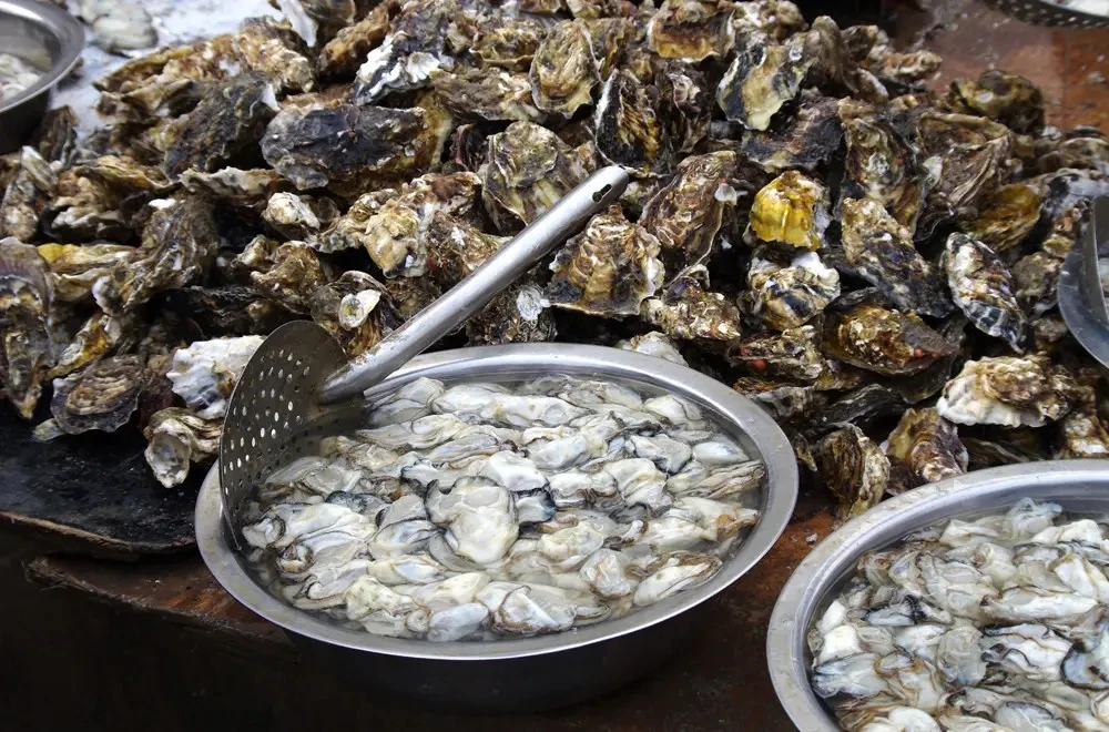 杏树屯原浆海蛎肉，中号，顺丰包邮