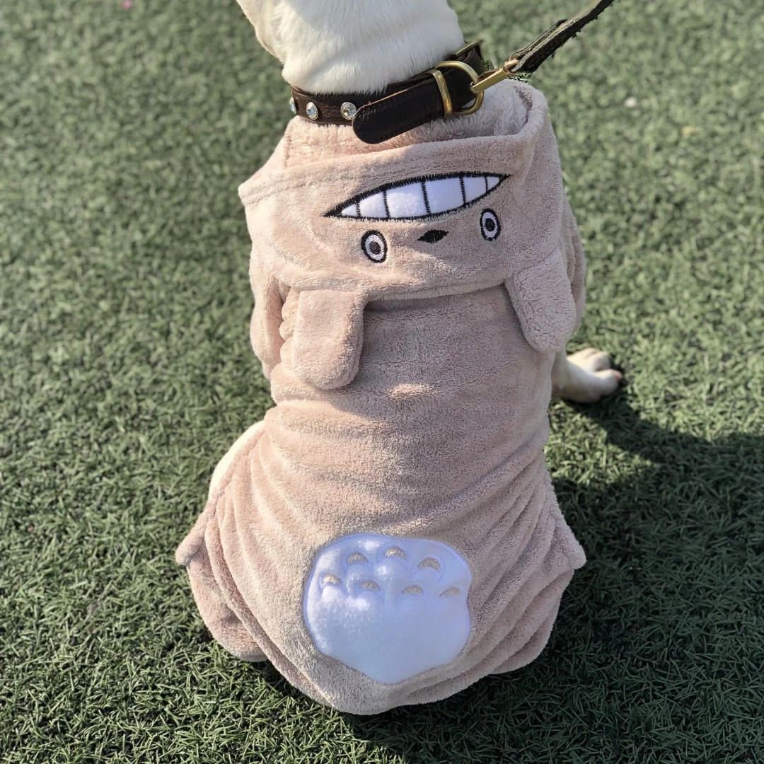 狗狗衣服春秋冬四脚连体加绒保暖卡通龙猫变身装泰迪比熊博美通用