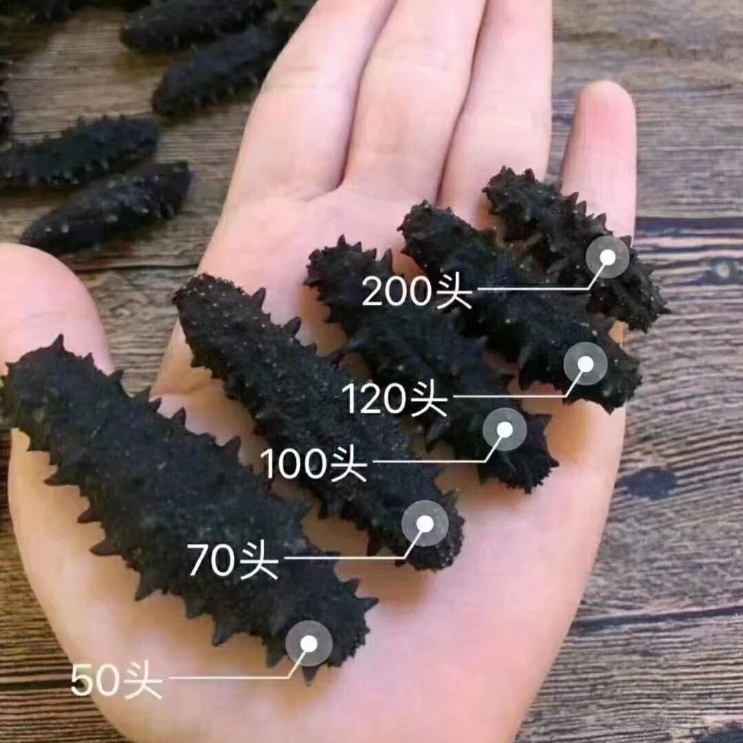 【淡·干·海·参】大连长海县深海野生海·参