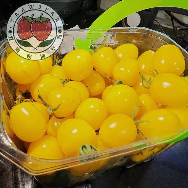 【双河草莓】黄色纯甜小番茄