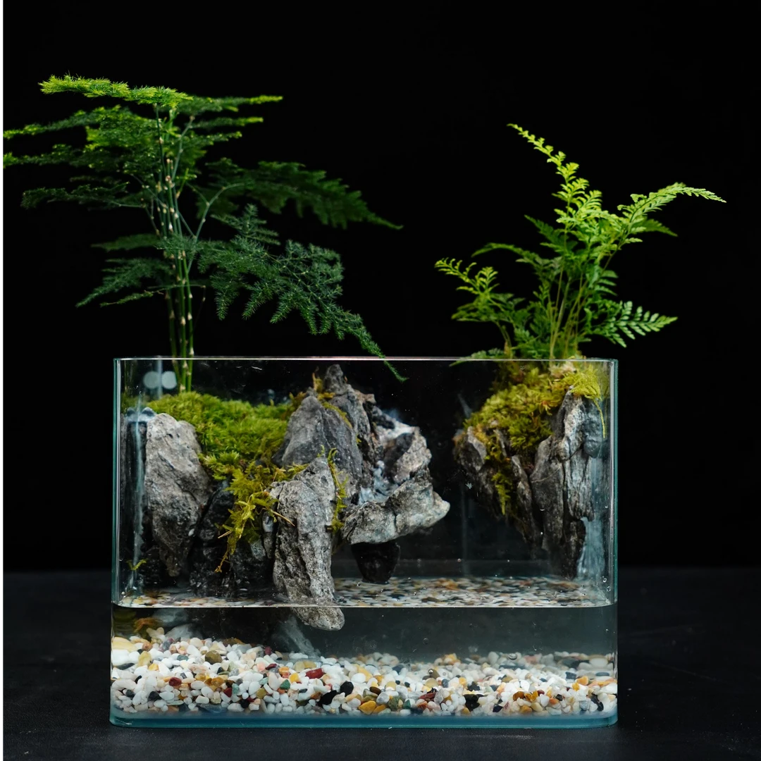 【问天】竹林清幽—成品苔藓桌面微景观25*16*18