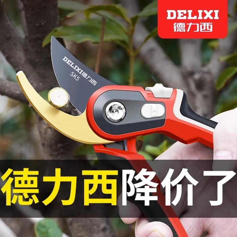 德力西修枝剪花剪园艺剪枝果树修枝剪子园林枝剪修剪树枝专用剪刀