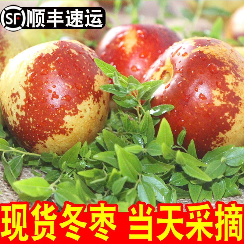 【顺丰包邮】陕西大荔冬枣新鲜大枣鲜枣牛奶冬枣水果当季整箱枣子
