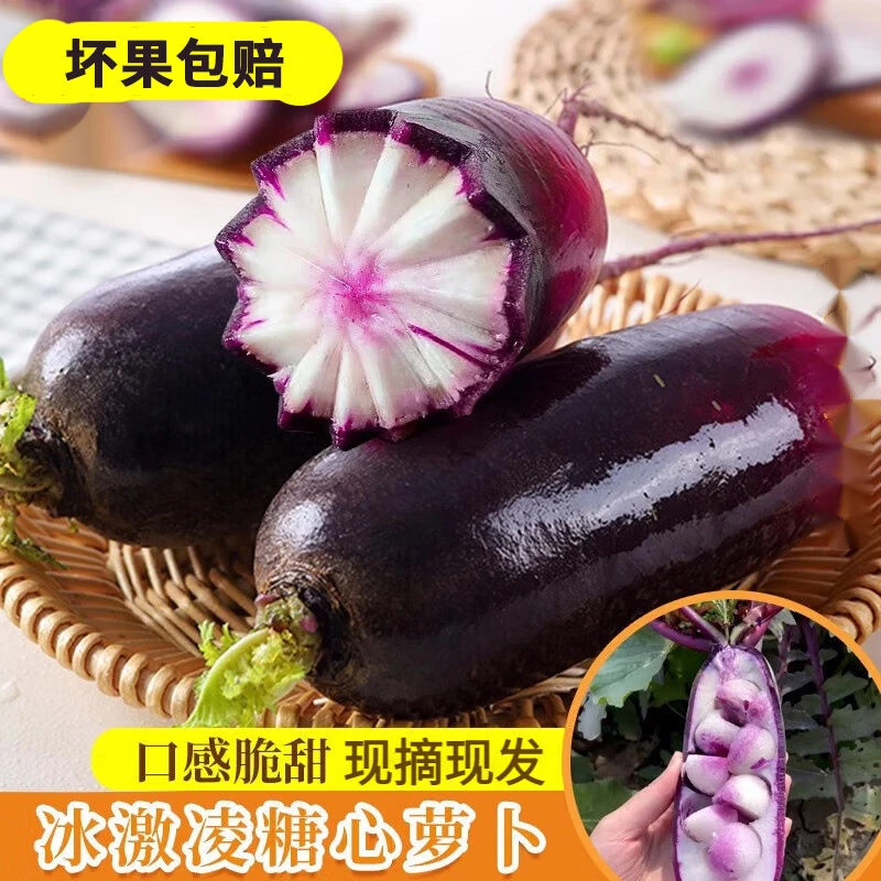 脆甜多汁冰淇淋水果萝卜潍县现拔紫美人新鲜萝卜当季蔬菜产地直发