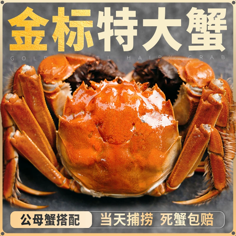 【活蟹现发】江苏正宗金标湖养蟹 母2.4-2.1两+公2.4-2.1两共12只