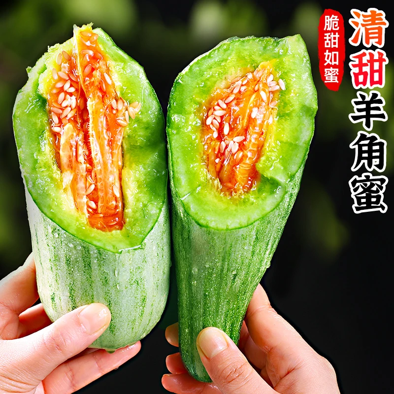 【脆甜多汁】正宗山东羊角蜜甜瓜4.5斤蜜瓜香瓜博洋5当季水果甜蜜