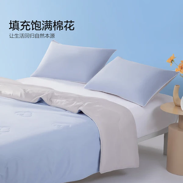 MERCURY/水星家纺空调被A类抗菌棉花透气凉感母婴贴身机洗夏凉被d