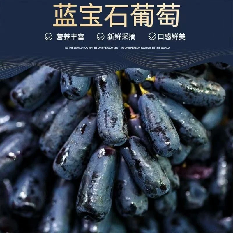 新疆金手指葡萄 蓝宝石葡萄 饱满多汁 脆甜无籽 4斤