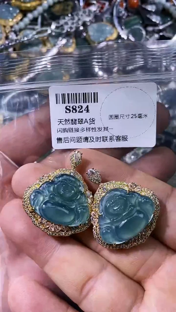 【闪购商品】翡翠颈饰未镶嵌S824多样性发其一