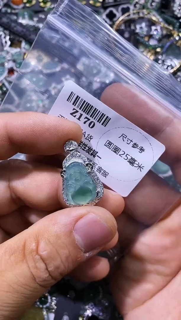 【闪购商品】翡翠颈饰未镶嵌Z170吊坠