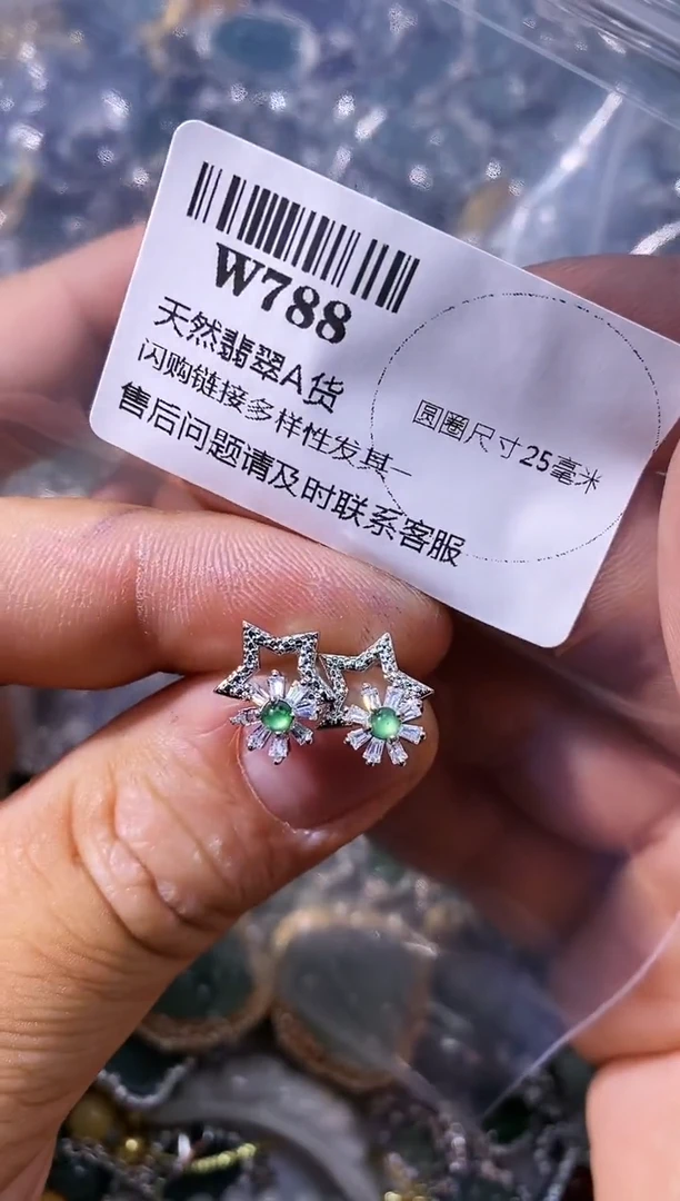 【闪购商品】翡翠颈饰未镶嵌W788耳钉