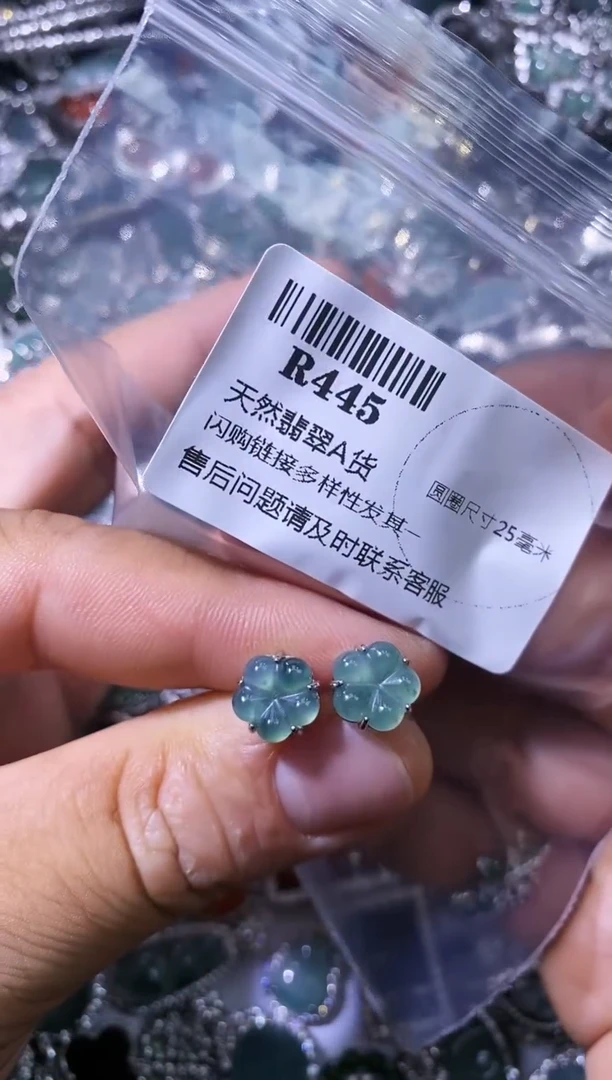【闪购商品】翡翠颈饰未镶嵌R445耳钉