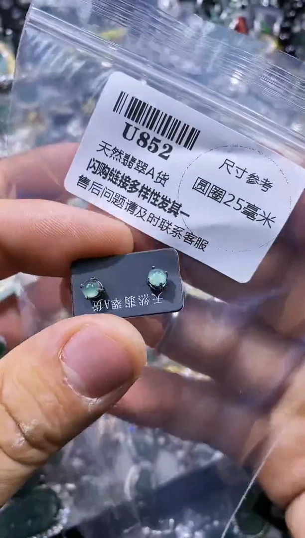 【闪购商品】翡翠颈饰未镶嵌U852耳钉