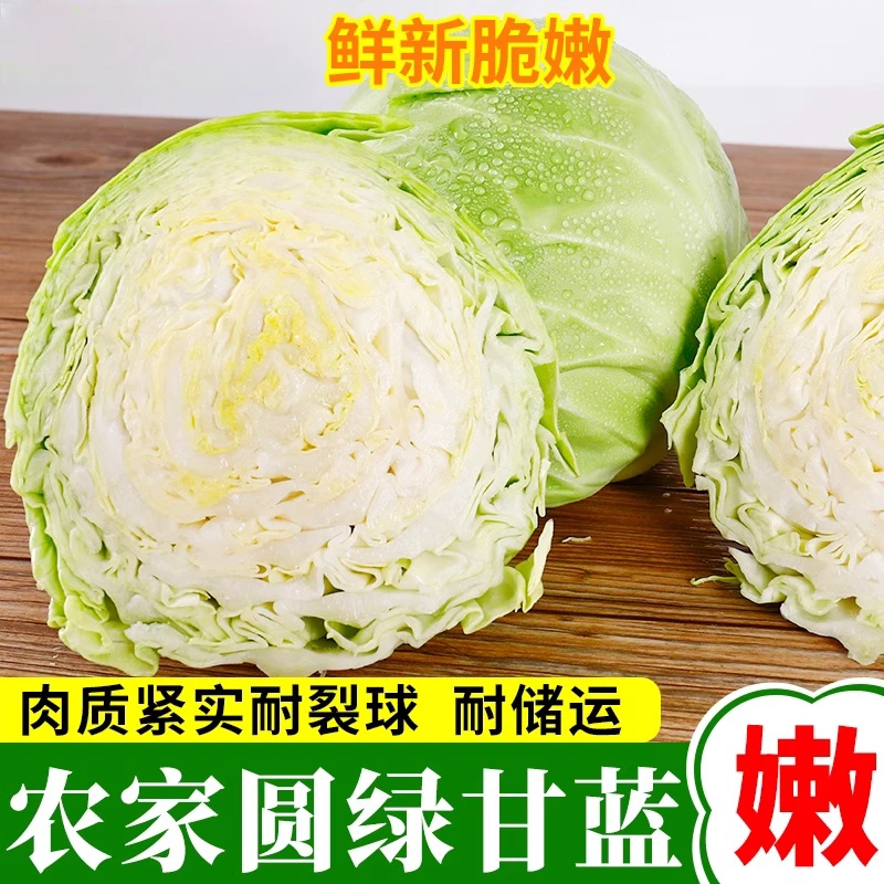 【产地直发】新鲜包菜圆白菜绿甘蓝莲花白卷心菜5/9斤农家种植蔬菜