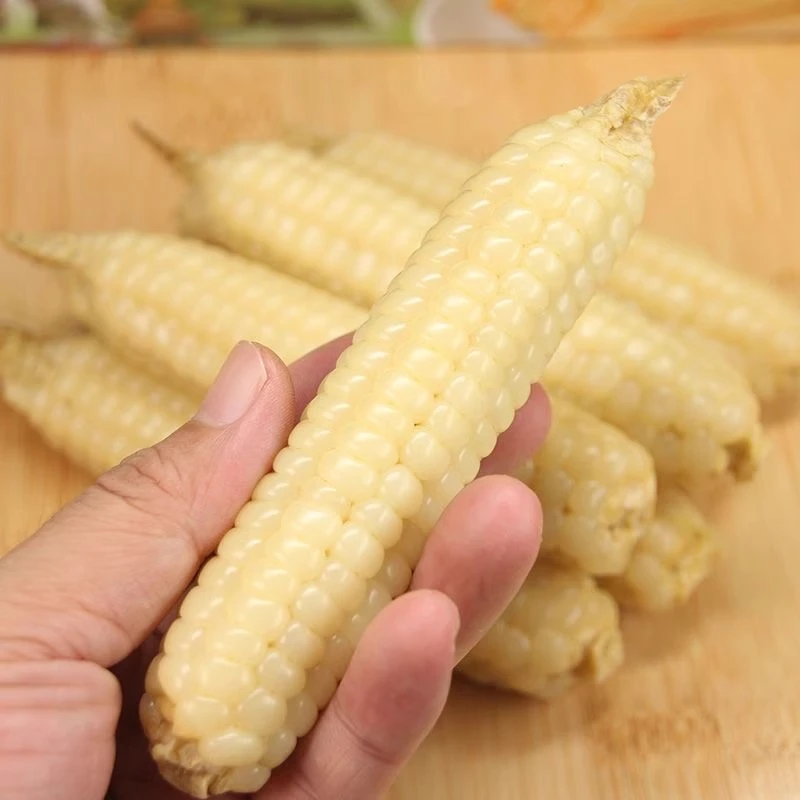 【福利拇指小玉米】版纳颗粒新鲜真空即食玉米饱满玉米代餐辅食200g