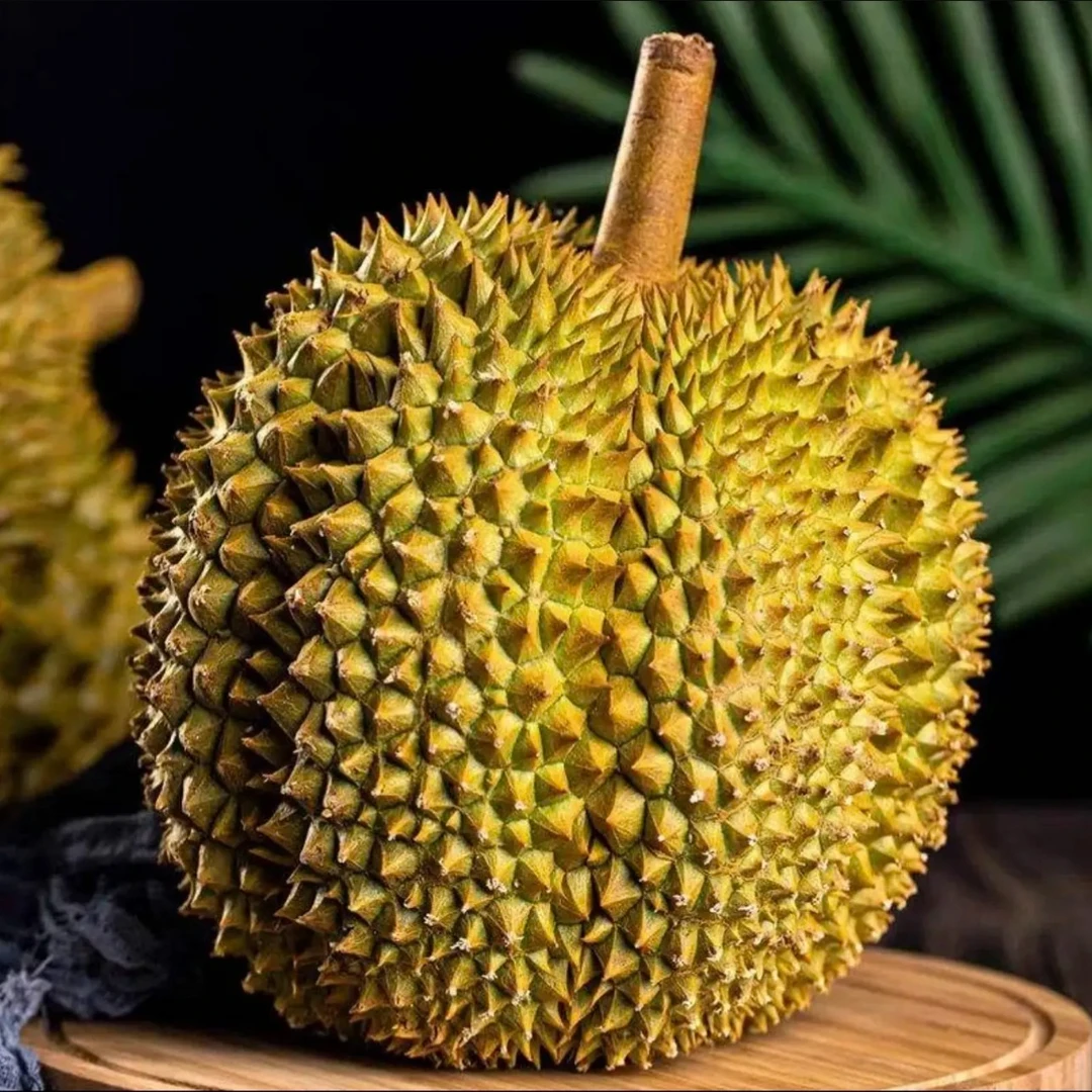 特价榴莲不售后（可能包含 生包，死包，夹生，湿包，酒味，发苦）介意勿拍