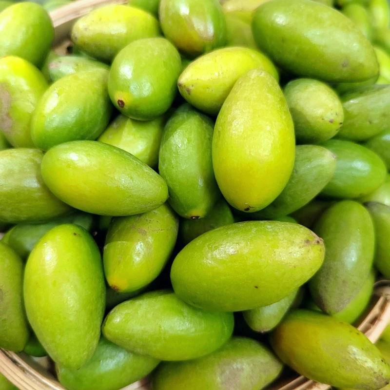 青橄榄2号橄榄潮汕青皮橄榄新鲜采摘起橄青枣脆榄青果酥脆无渣1斤