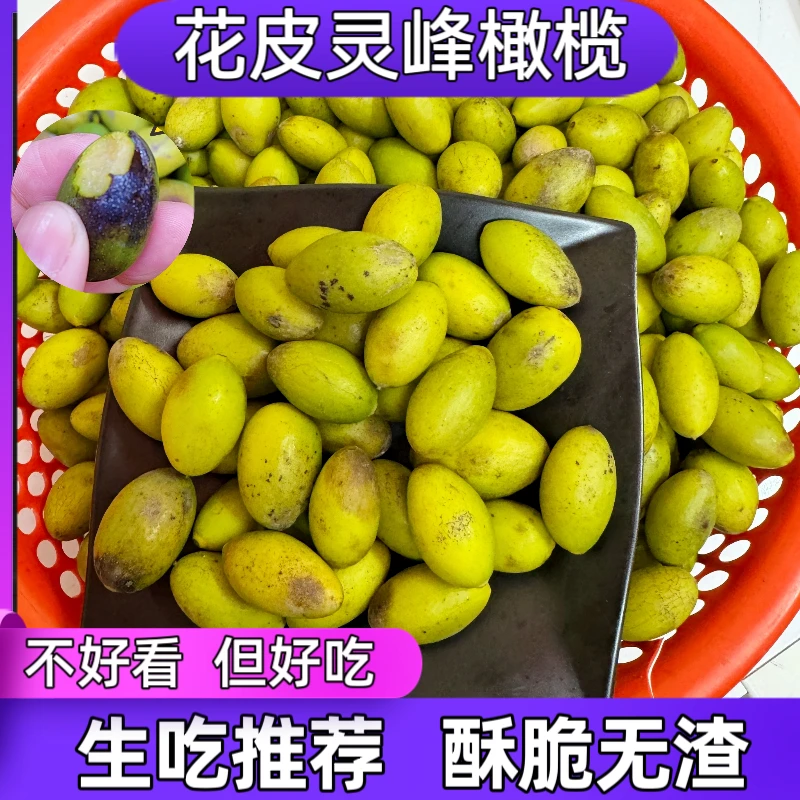 灵峰橄榄花皮橄榄新鲜橄榄酥甘甜生吃煲汤推荐500克