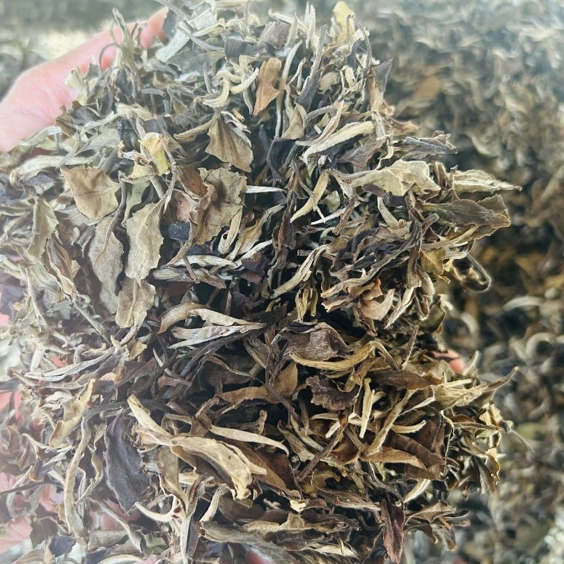2018年春老树白茶半斤装