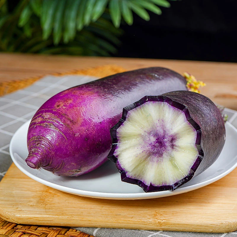 冰激凌水果萝卜生吃新鲜多汁采摘正宗潍坊萝卜甜脆水果萝卜即食