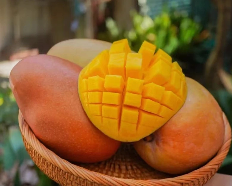 红凯特芒   香甜多汁