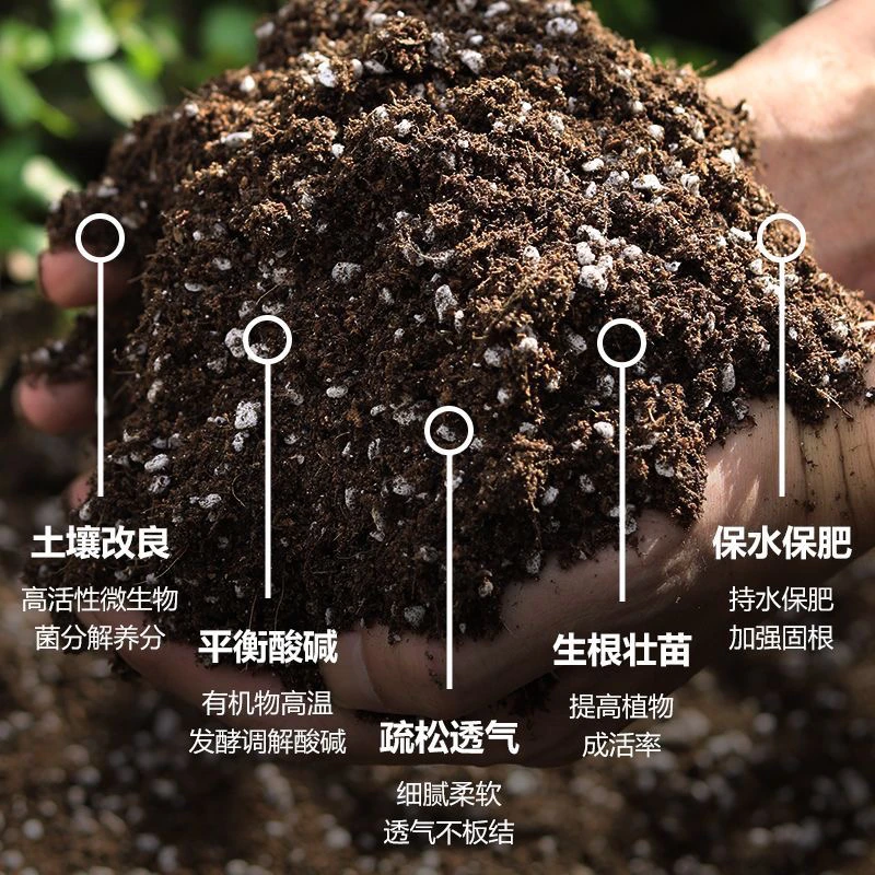 杜鹃花专用土 盆栽地栽